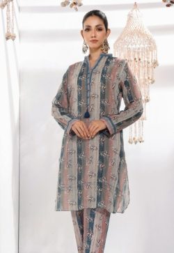 Bin Hameed Co-Ords Stitched Ash